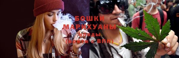 прущие грибы Абинск