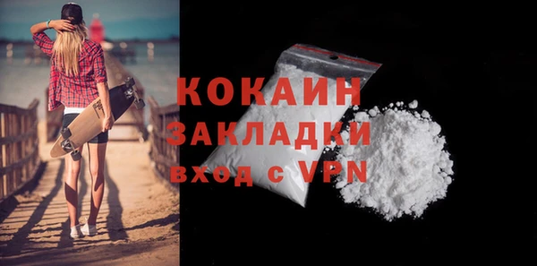 прущие грибы Абинск